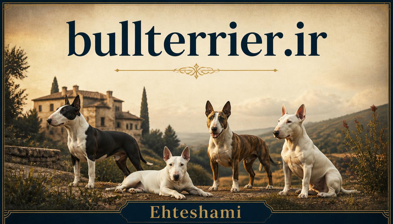 bullterrier.ir